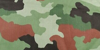 M93 Oak Leaf