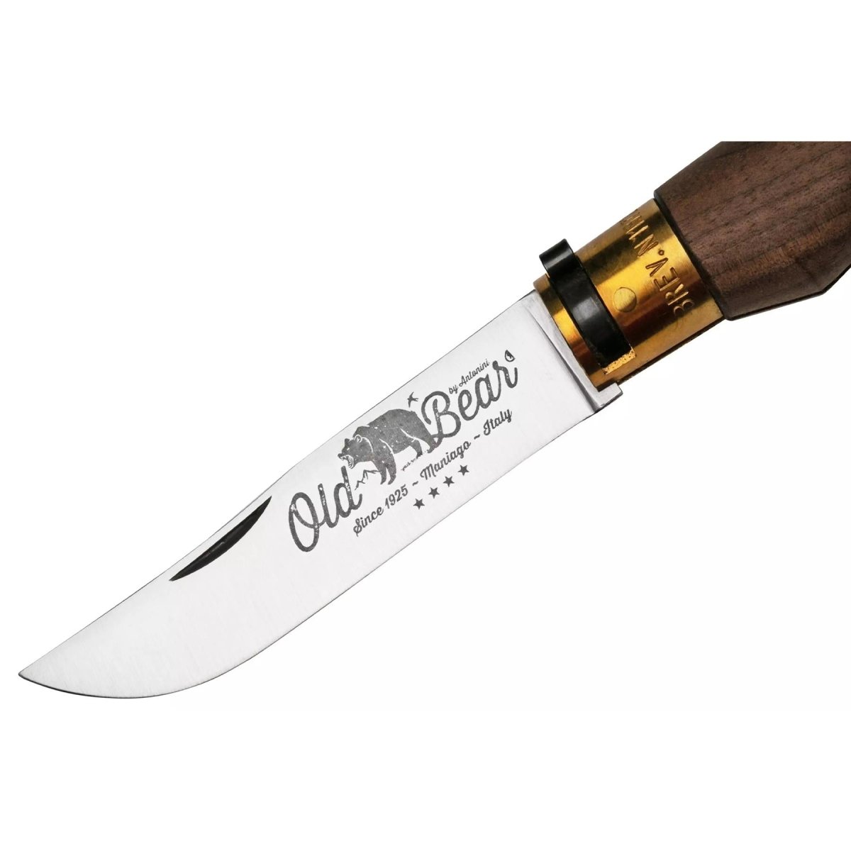 Couteau de poche Antonini Old Bear, lame en acier inoxydable de 10cm, manche en bois de noyer