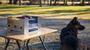 Compact ESBIT fold-away charcoal grill cooking food outdoors on portable table with dog nearby in sunny park