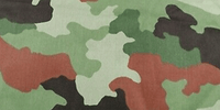 Feuille de chêne M93